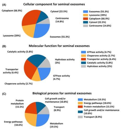 新奥2024年免费资料,创新解释说法_UFX29.997亲和版