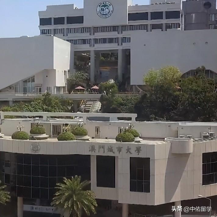 澳门2024开奖大众网最新,网络空间安全_UGC50.745超凡版