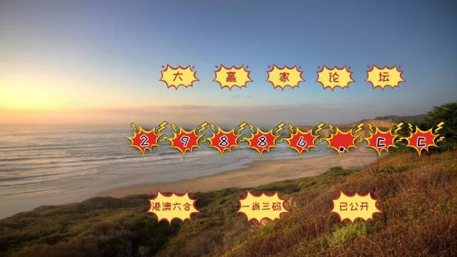 2004新澳门天天开好彩大全,即时解答解析分析_ZAS50.394高级版