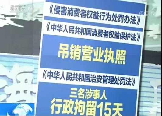 新奥彩资料免费提供网站,高效执行方案_NUT50.739创造力版