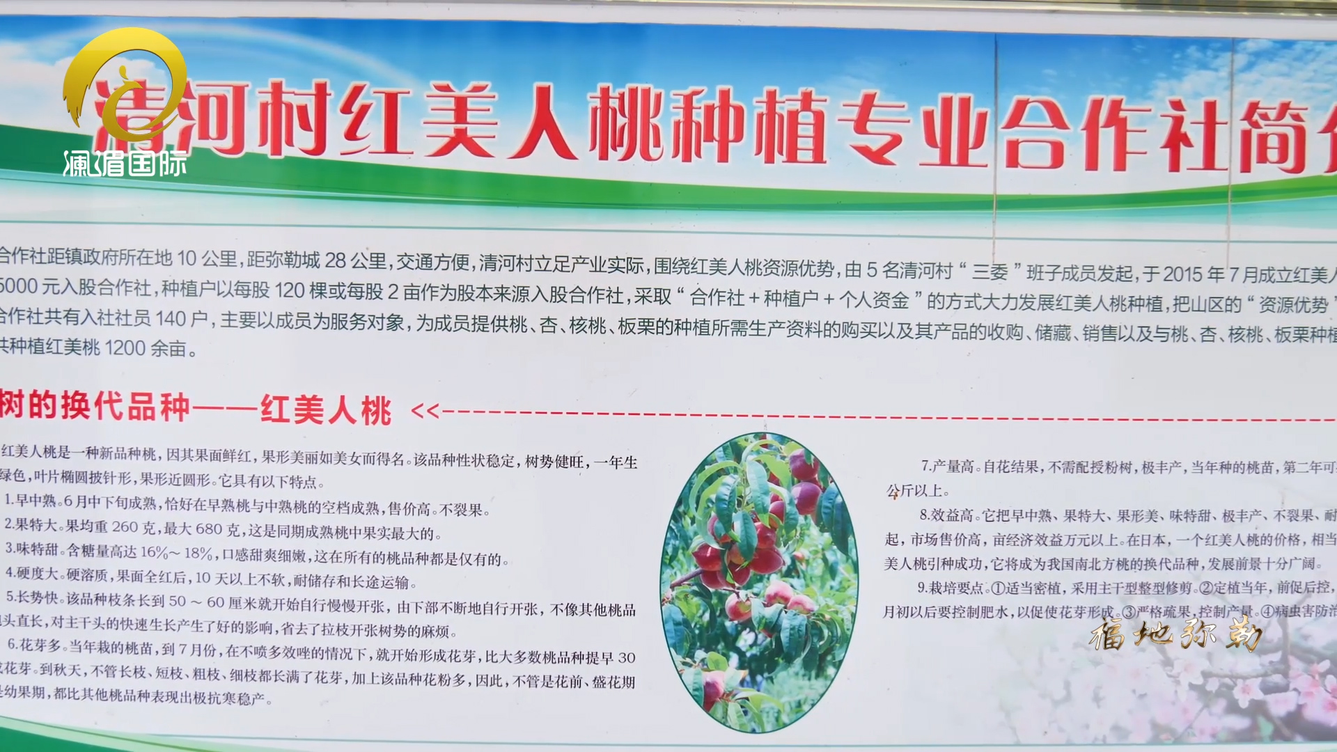 7777788888精准跑狗图正版,新技术推动方略_JXR50.379旅行版