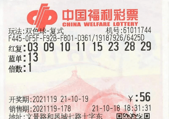 澳门今晚开奖结果+开奖,推动策略优化_XTZ29.970收藏版