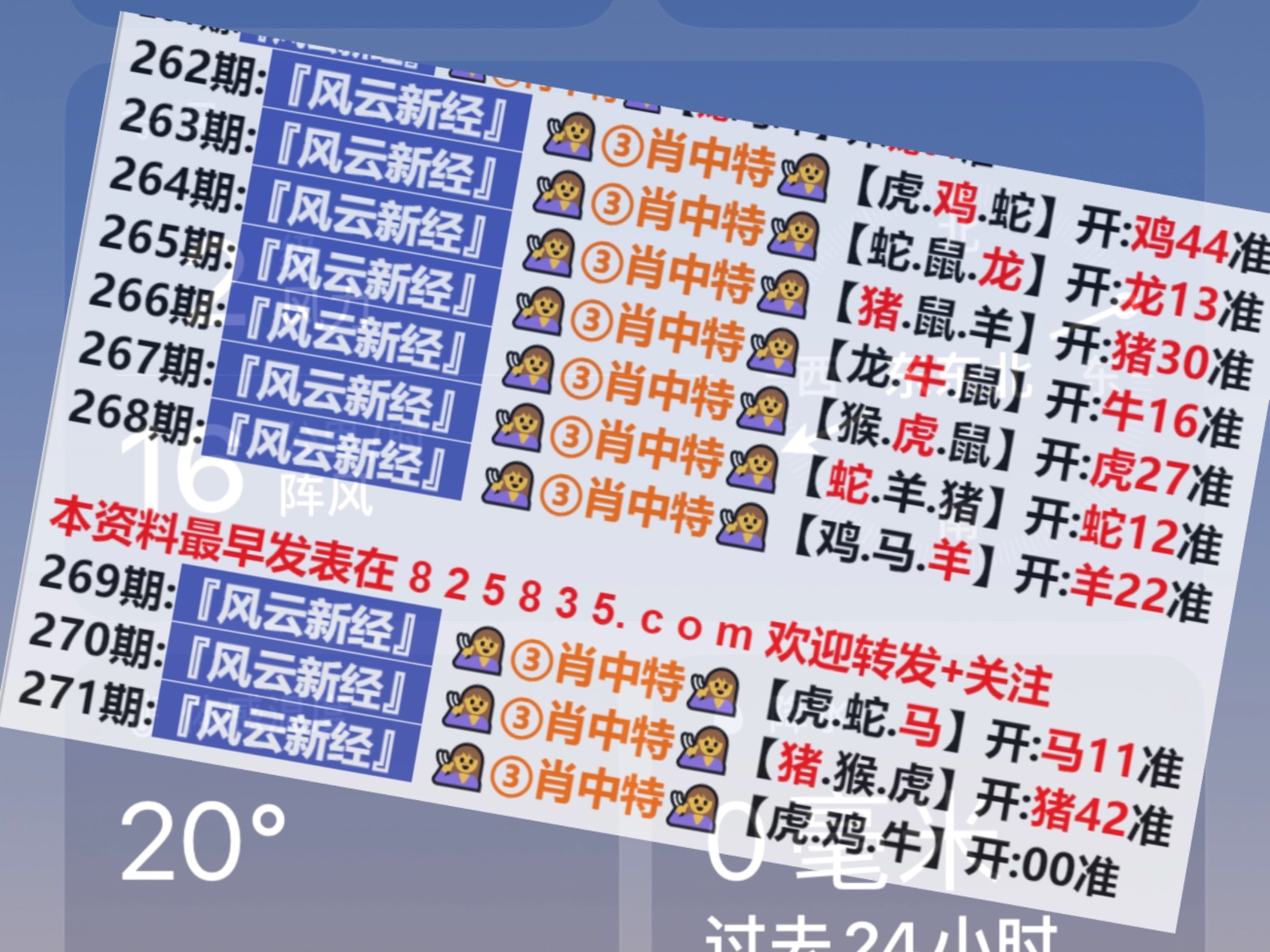 2024年新奥门天天开彩,实地验证实施_BMQ50.283编辑版