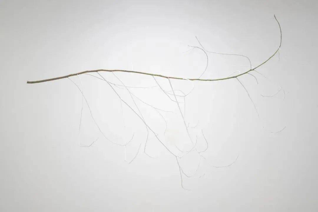 4949正版资料大全,专业地调查详解_HVQ29.912艺术版