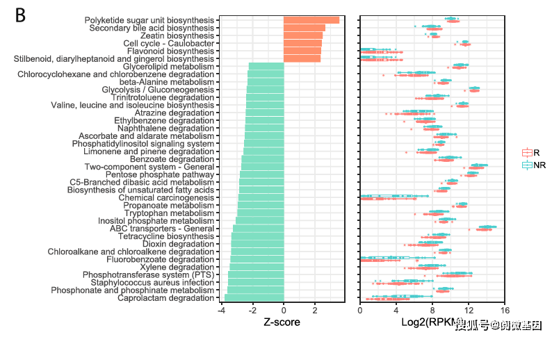 600图库大全免费资料图,科学解释分析_EUR29.589酷炫版