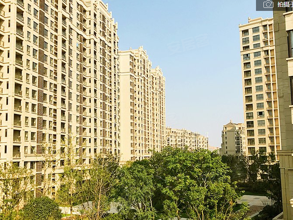 南浔光明中央公园,一段关于友情、家庭和陪伴的温馨故事(最新更新)