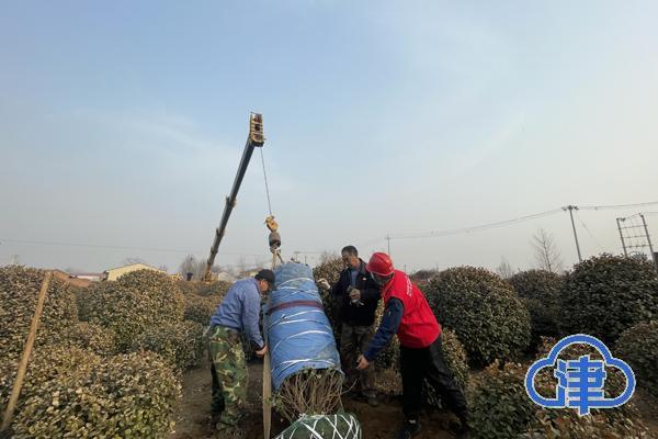 蓟县邦均最新招工信息全览,招工信息及概览