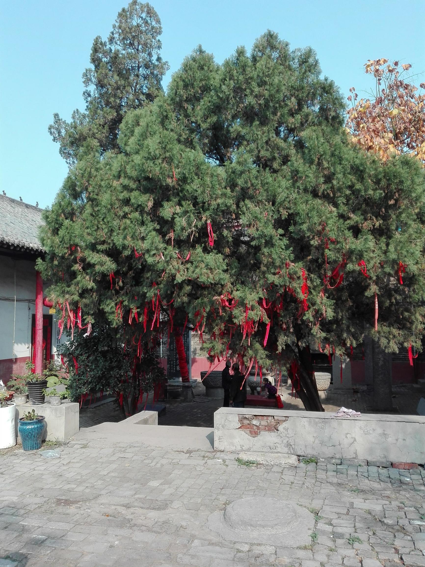 天和福地最新动态揭晓,令人振奋的消息🎉🌄