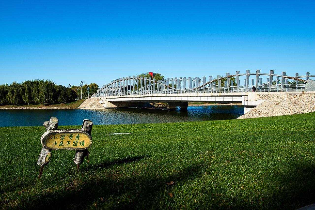 北京采育最新招聘，友情的种子在采育开花，职位空缺等你来挑战！