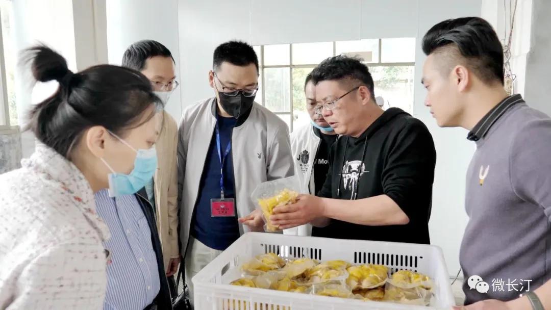 厦门广电集团最新招聘，时代的号角引领行业翘楚的人才招募启事