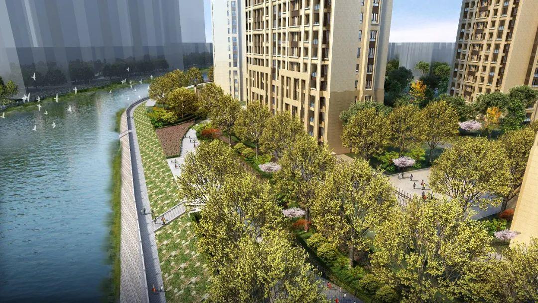 郑西鑫苑名家动态更新，从初学者到进阶用户的步骤指南