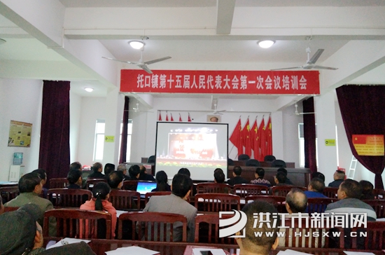 托口镇政府最新新闻,小巷深处的独特风味探索之旅