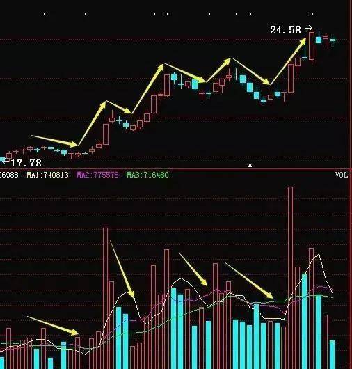 胡立阳最新动态及全方位关注指南