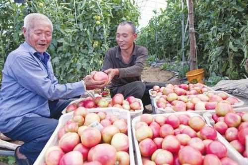 左权县最新房屋出售，梦想交汇之地，人生新篇章启航