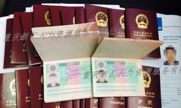 比利时打工最新招聘信息汇总