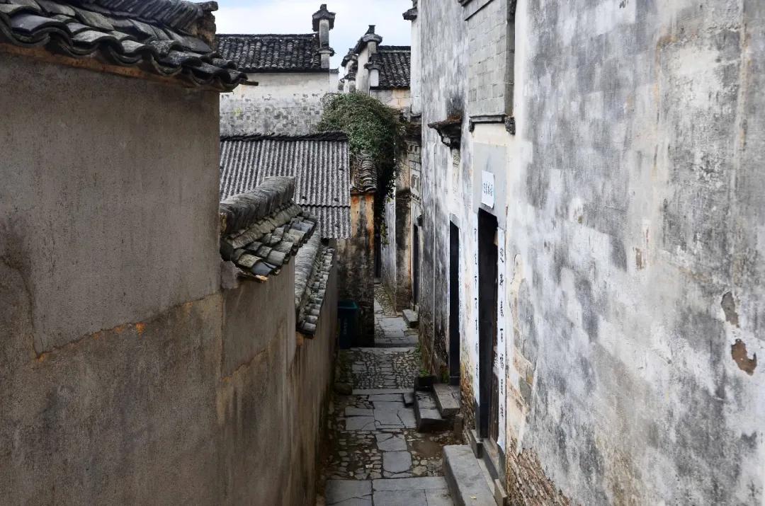 C村影视最新动态更新