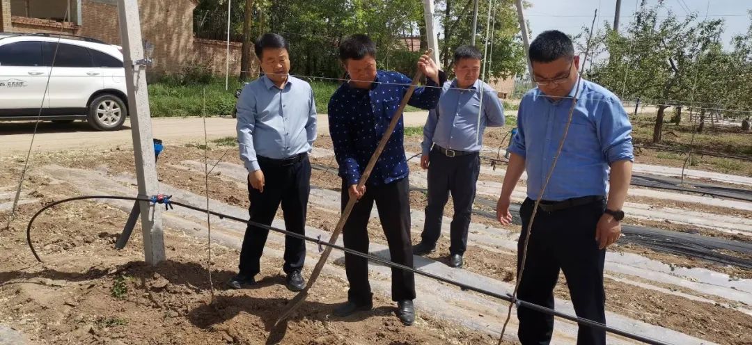 泾川县高平镇最新要闻速递,全面解读高平镇最新动态与资讯指南