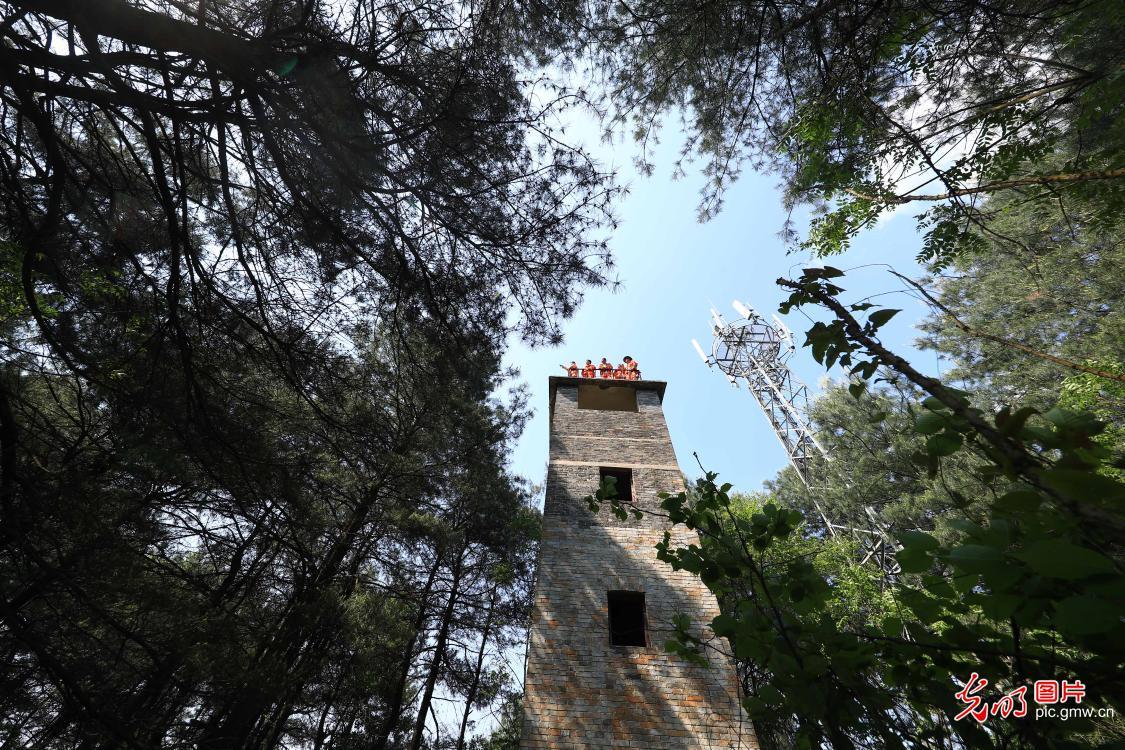 惠东平山最新招聘信息汇总与观点论述