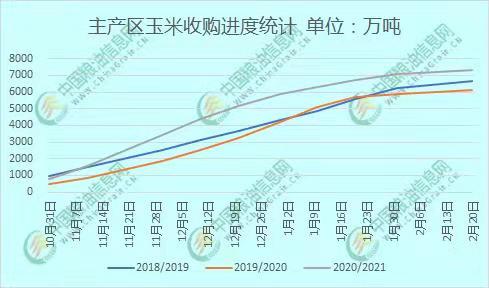 淄博玉米价格最新动态及分析，如何获取与分析行情信息