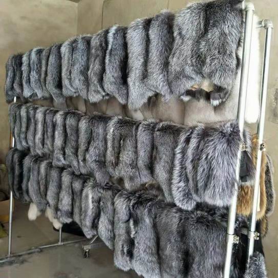 黑龙江貉子皮最新价格行情更新通知