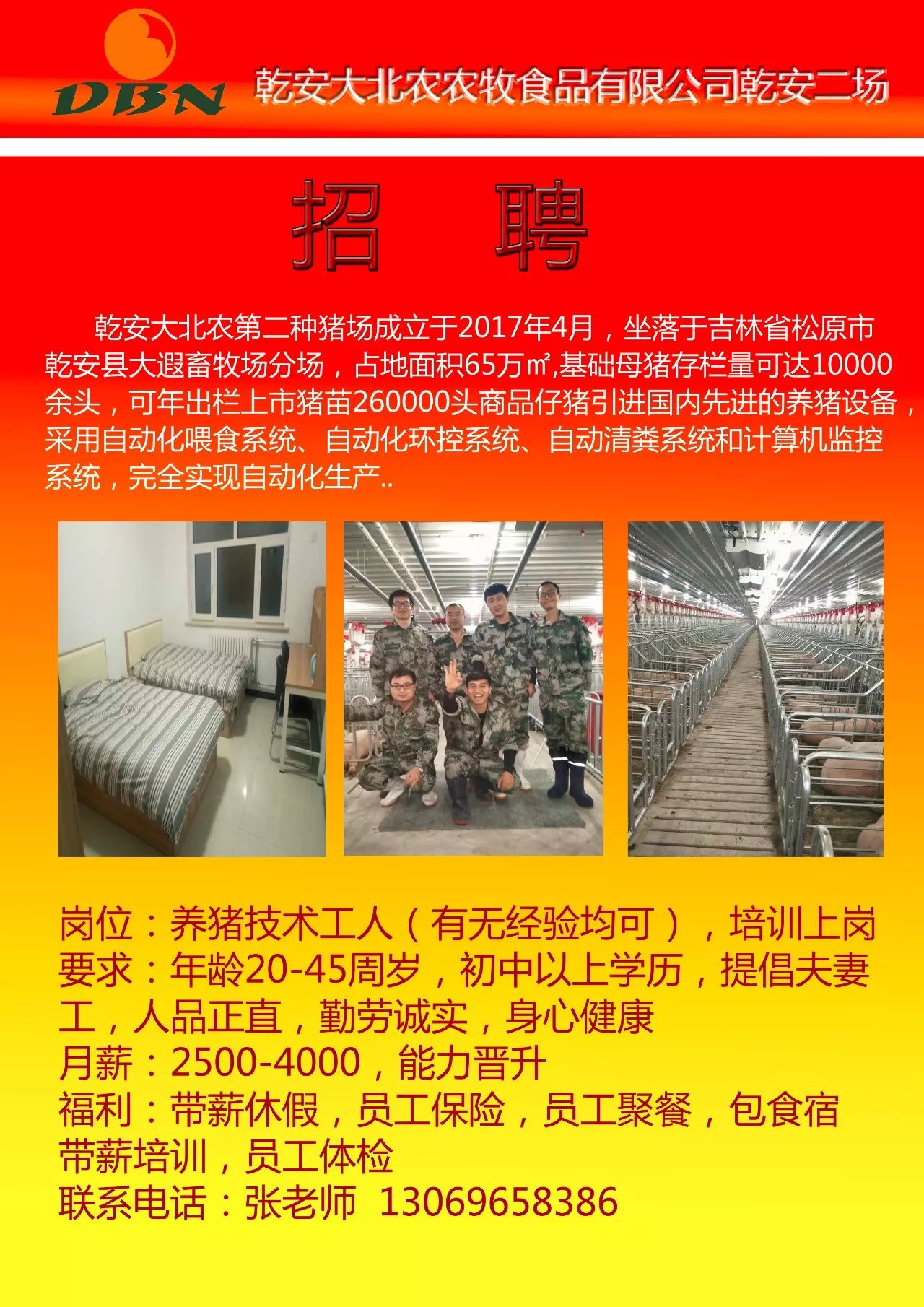 抚顺李石地区最新招聘信息更新