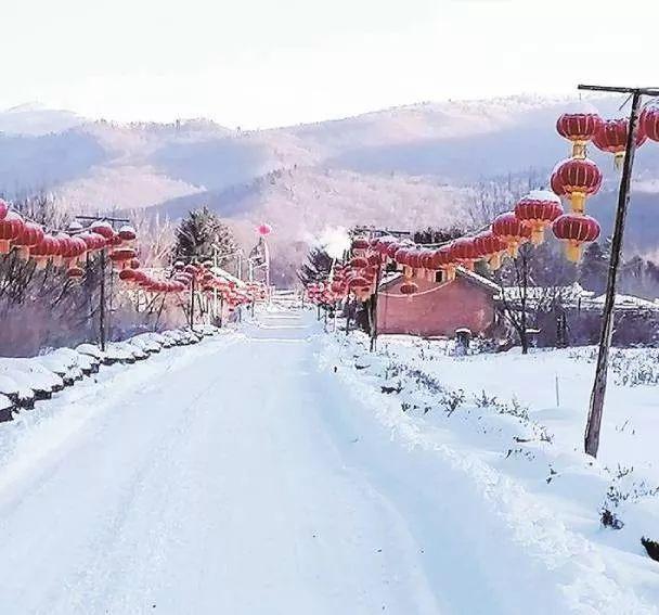 辽宁林场改革最新动态与深度解析