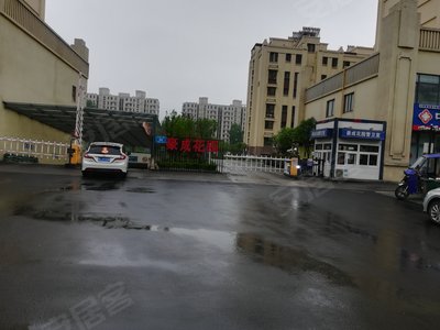 豪成花园最新动态与消息🌸🏡