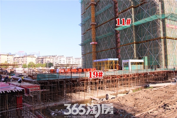 芜湖官山翰林最新动态,日常趣事揭秘