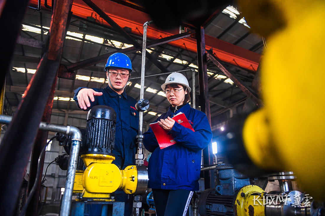 最新洗煤厂洗煤师招聘，行业多重视角下的探讨与展望