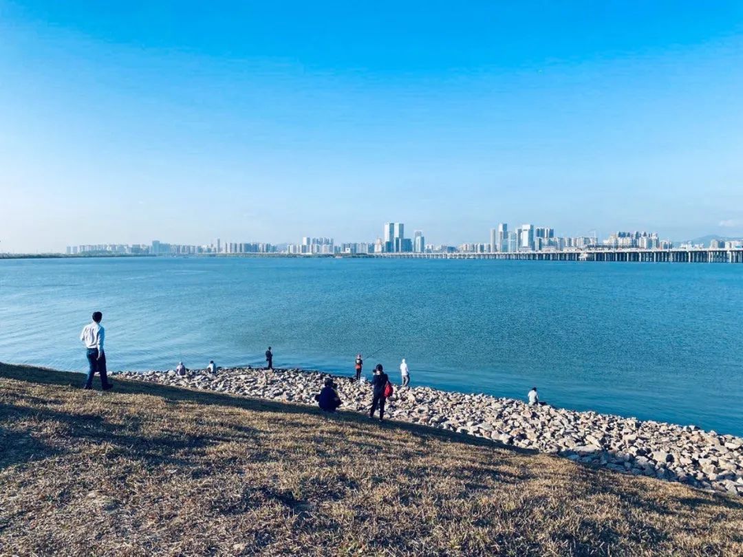 深圳后海公园最新动态更新