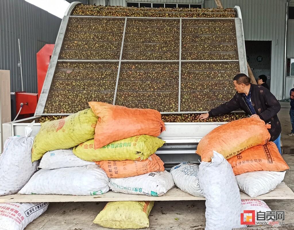 荣县最新城市规画揭秘,巷弄深处的特色小店成新亮点