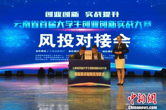 最新大学生创业项目,深度探讨时代挑战与机遇的碰撞