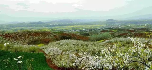 鲁山老泉博客最新博文,与自然共舞,探寻内心桃花源