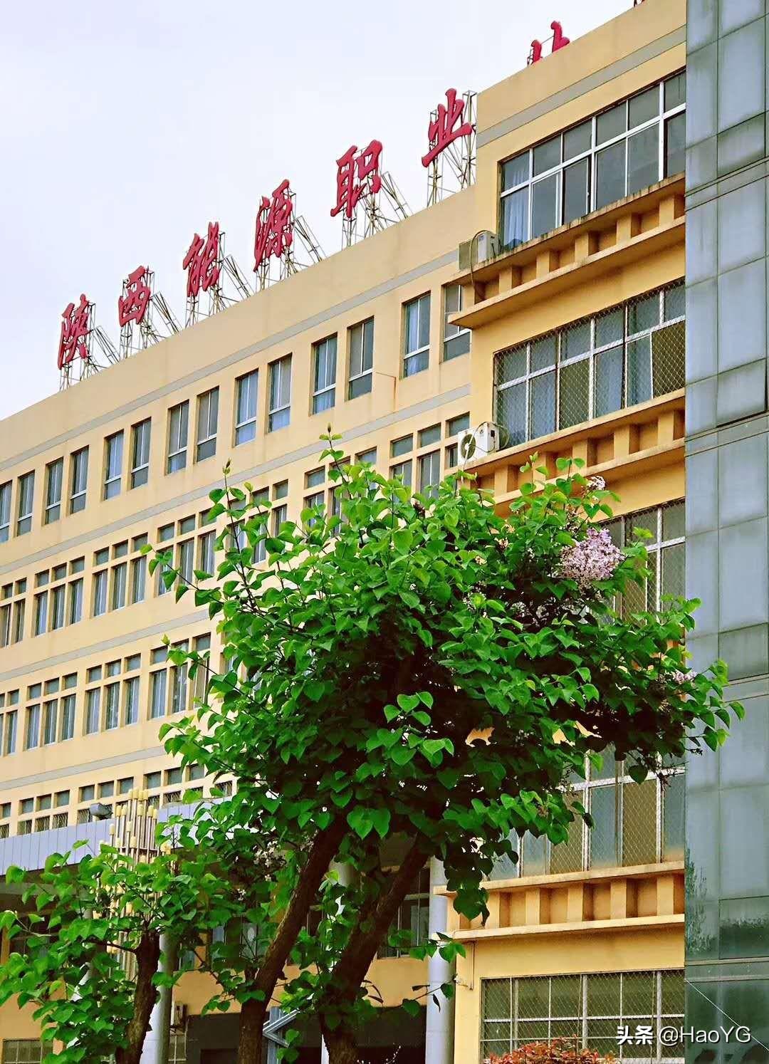 陕西职业足球迈入新时代，科技引领，震撼体验新篇章