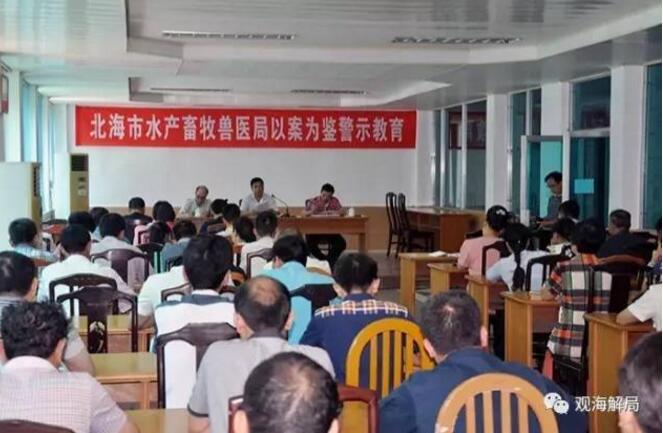 北海陈全彪最新动态，小巷美食秘境探索