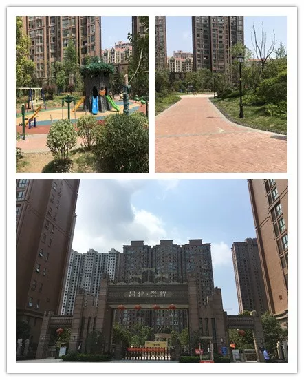 信阳昌建誉峰最新动态揭秘,小巷深处的特色小店独特风味展示