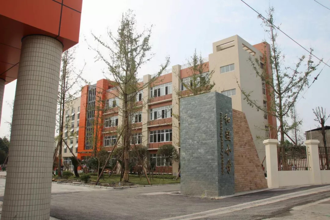 温江林湘最新动态，发展脉络探寻，未来前景聚焦