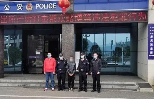 电信诈骗打击最新动态，反欺诈的励志之战全面展开