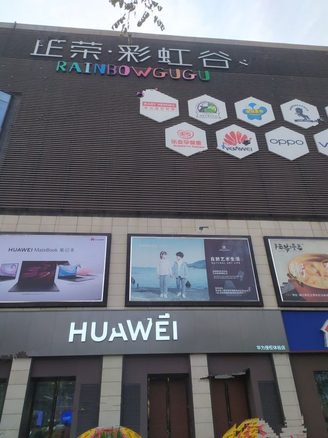 国风世家二期最新动态揭秘，小巷独特风情展现