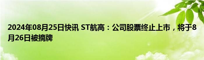 ST舜船2024年最新动态揭秘