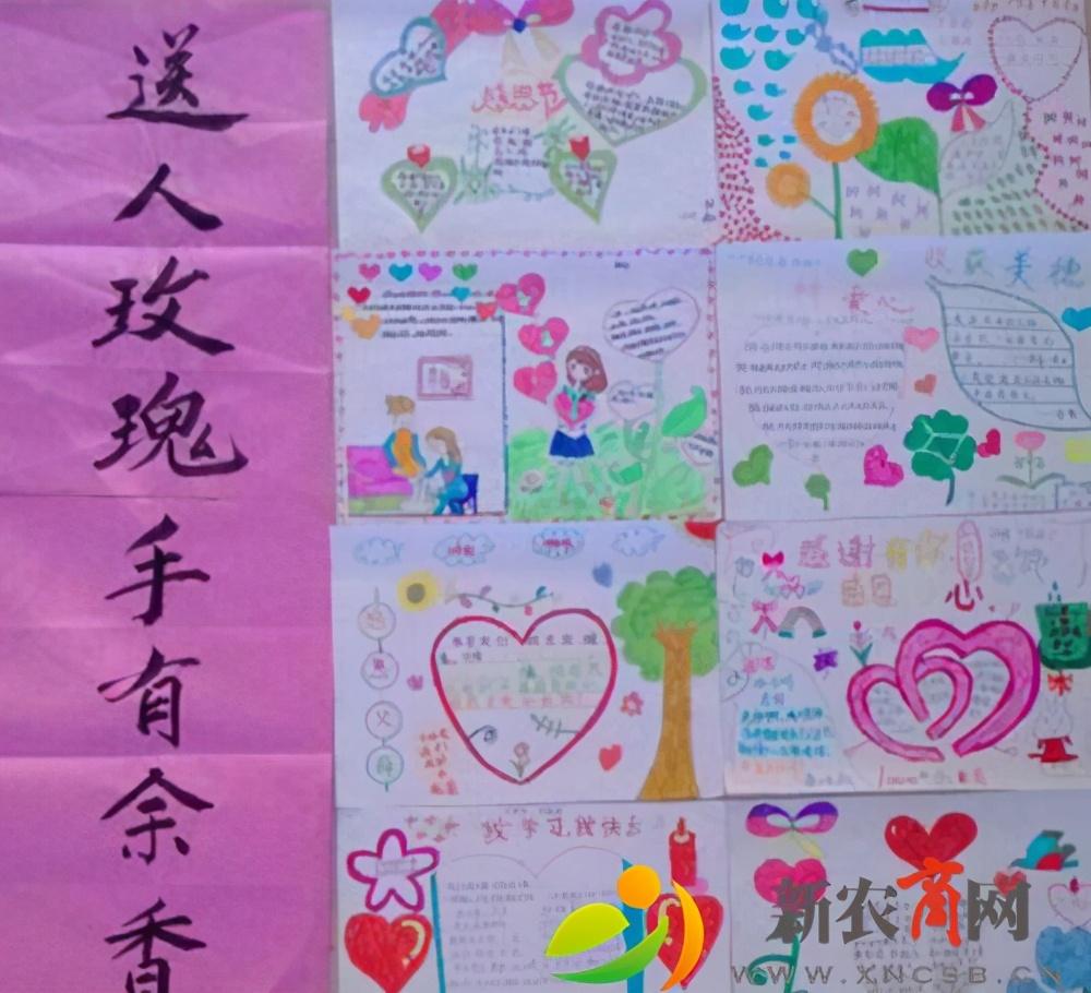 胶州胶莱镇最新动态,蓬勃发展的时代印记