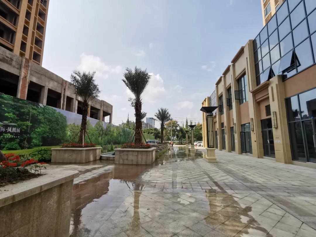 都江堰凤凰城最新动态,进展、影响及各方观点深度探析