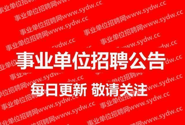 句容山水网招募精英驾驶员，驾驭未来，共创精彩人生之旅！