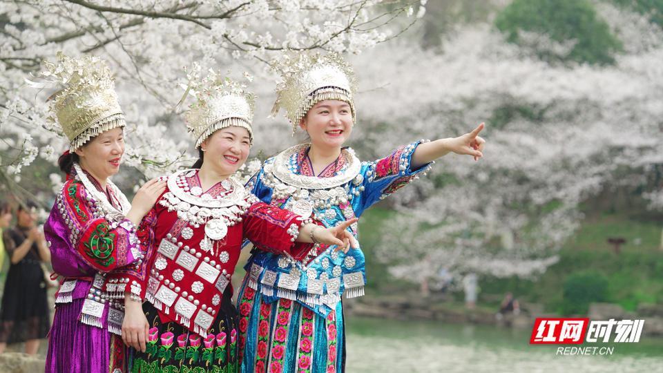 长沙七日升最新动态更新📣城市速览🌆