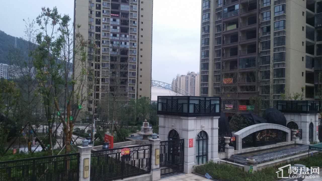 巴中观澜上域特色小店,小巷中的隐藏宝藏最新消息