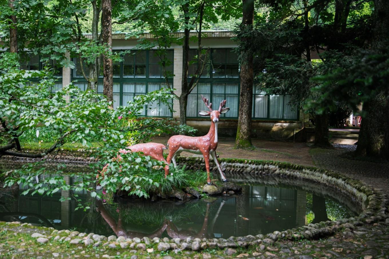 九江17路公交最新路线，时代的脉络与变迁的轨迹