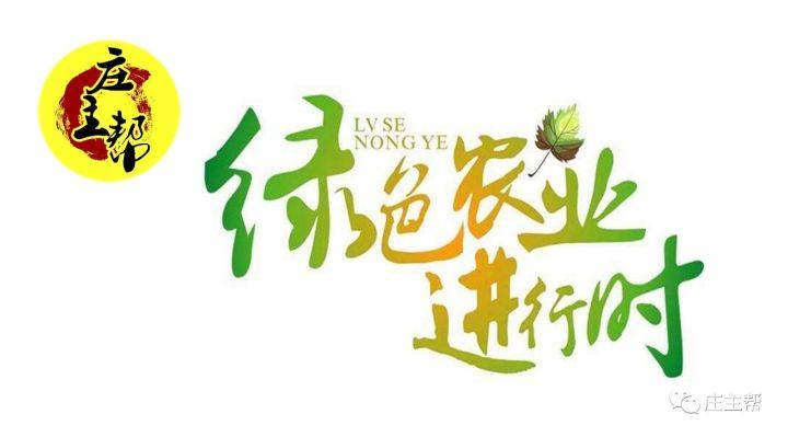 环保最新动态，温馨家园的奇妙环保旅程与深厚友情