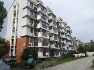 信一新都市房价动态，变化中的自信与成就感之源