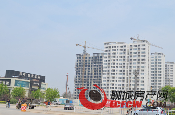 临清恒中清园，自然美景探索之旅，寻找内心平和之地的新动态