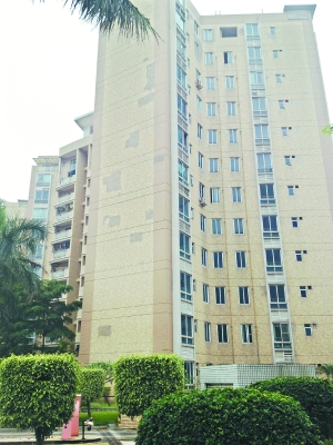 沙田利澳花园最新进展,学习力量与自信种子的蜕变